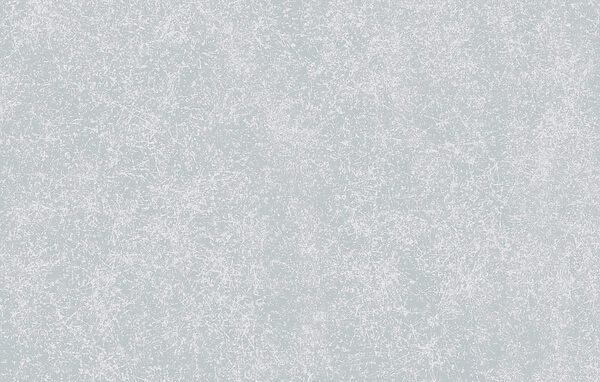 White speckled surface with small dots
