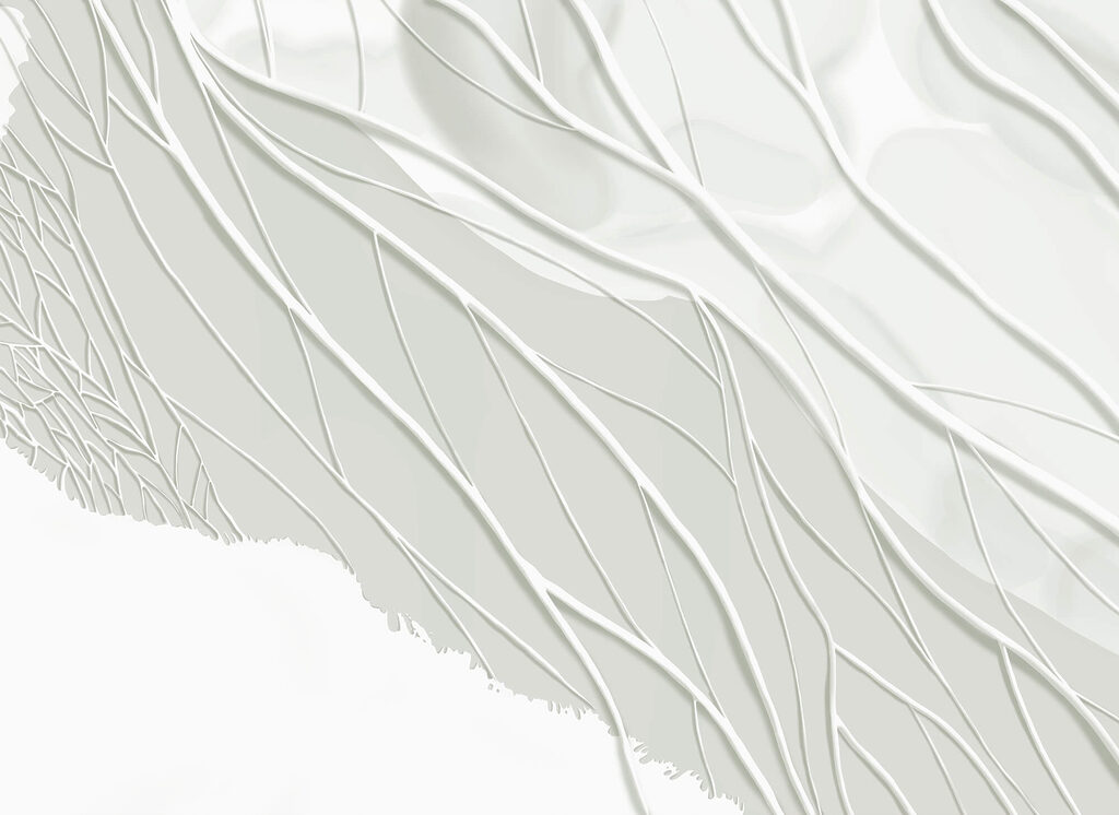 White background with lines