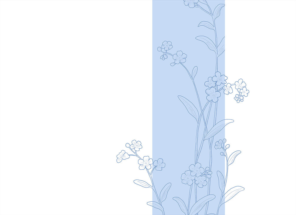 Blue and white flower drawing