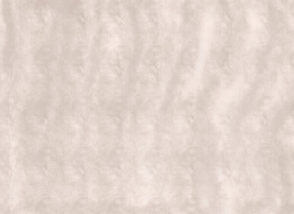 Serene and soft neutral backdrop