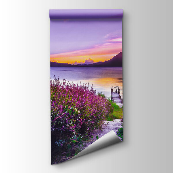 Path leading to a lake with purple flowers Path leading to a lake with purple flowers