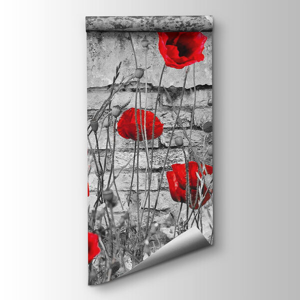 Red flowers in a field Red flowers in a field