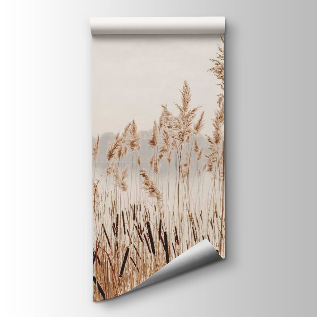 Tall grass with a body of water in the background Tall grass with a body of water in the background