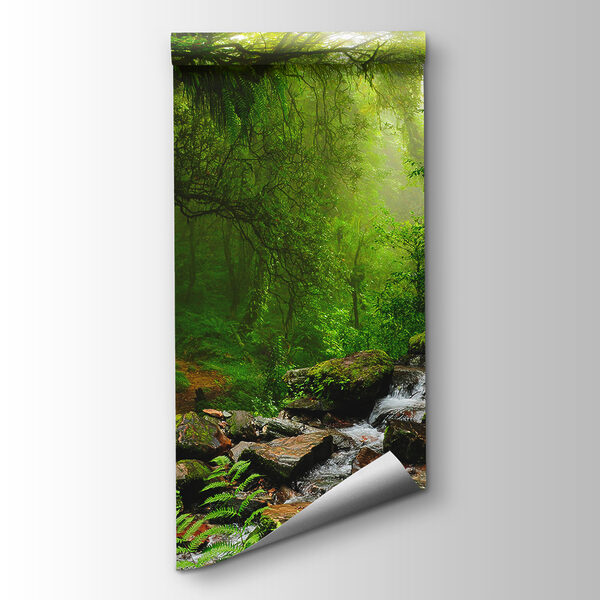 Stream running through a forest