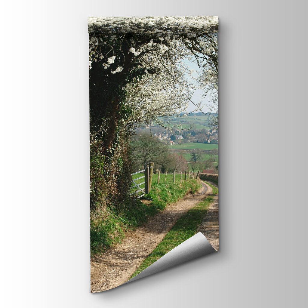 Dirt road with white flowers on it Dirt road with white flowers on it