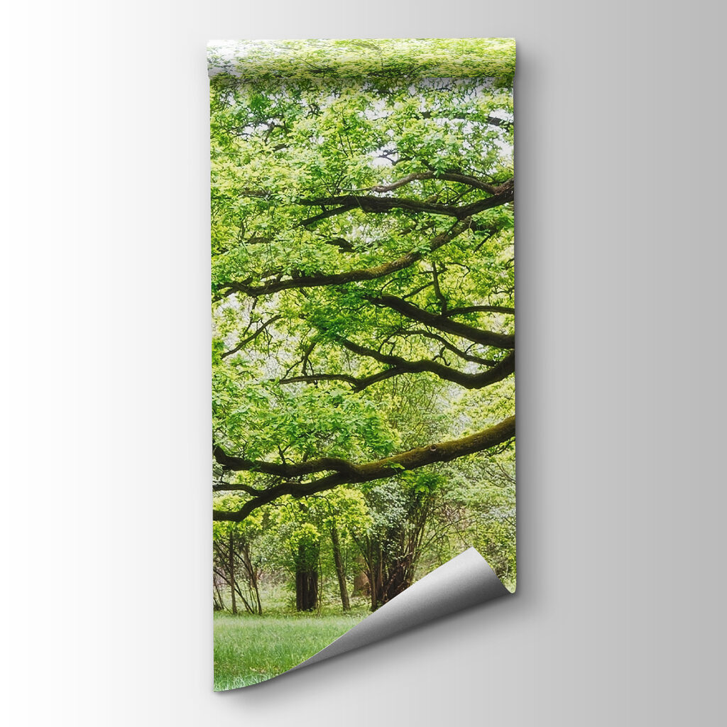 A tree with green leaves