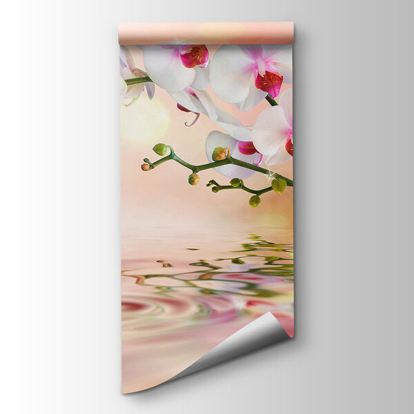 White orchids on a branch with water ripples