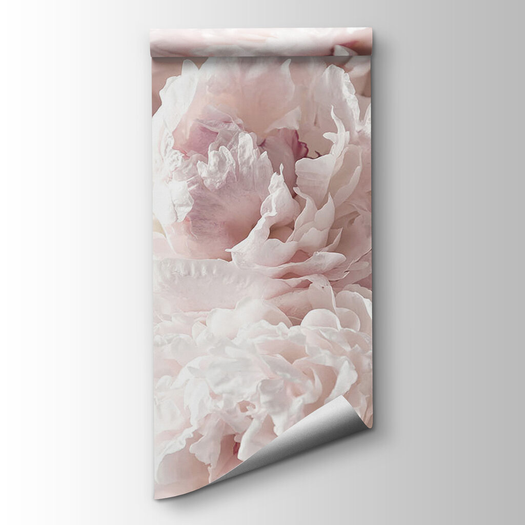 Group of pink flowers