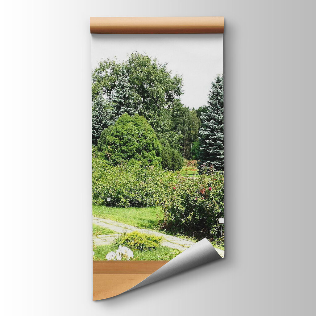 Window with trees and a path through it