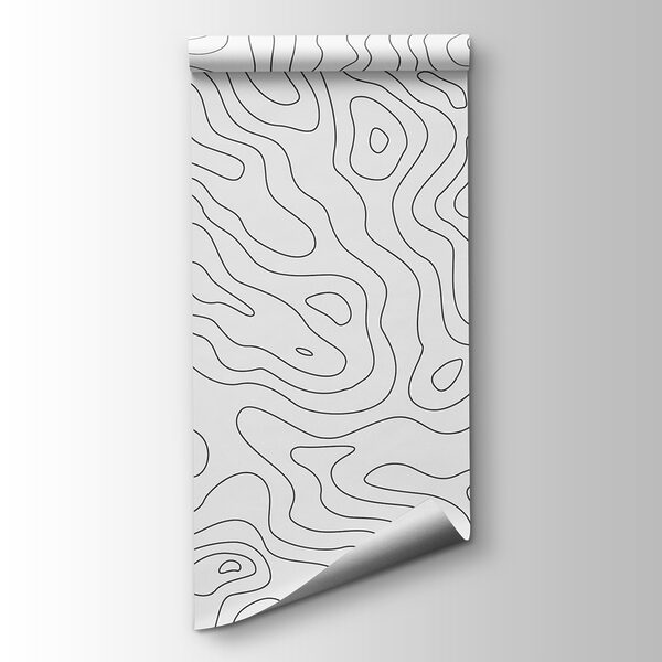 Black and white contour lines Black and white contour lines