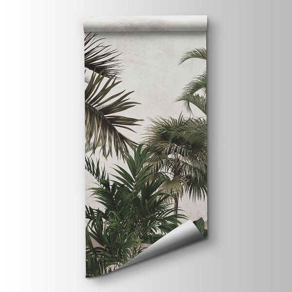 Group of palm trees Group of palm trees