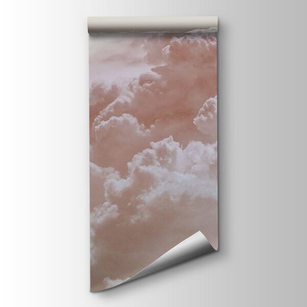 A pink clouds in the sky