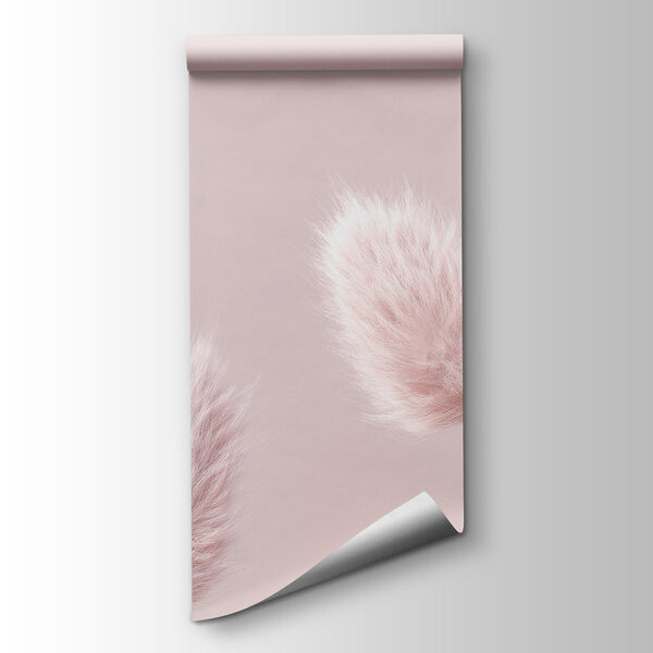 A group of fluffy pink flowers