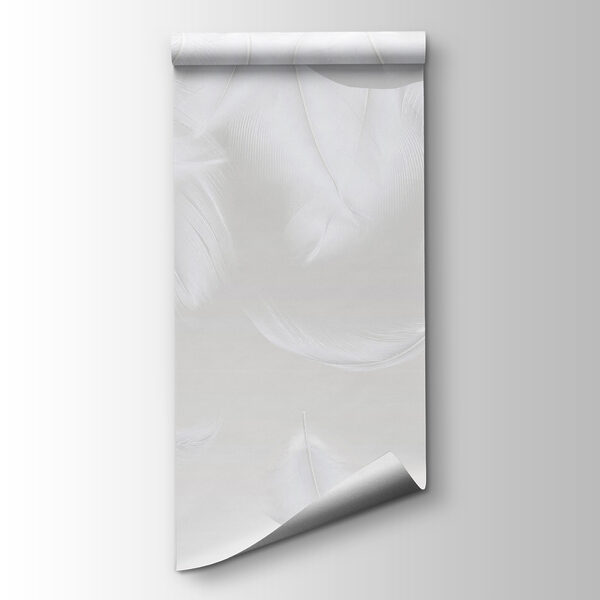 White feathers falling down