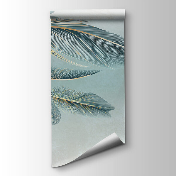 A group of feathers on a white background A group of feathers on a white background