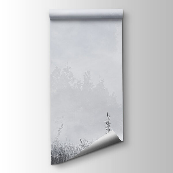 Foggy landscape with trees and grass Foggy landscape with trees and grass