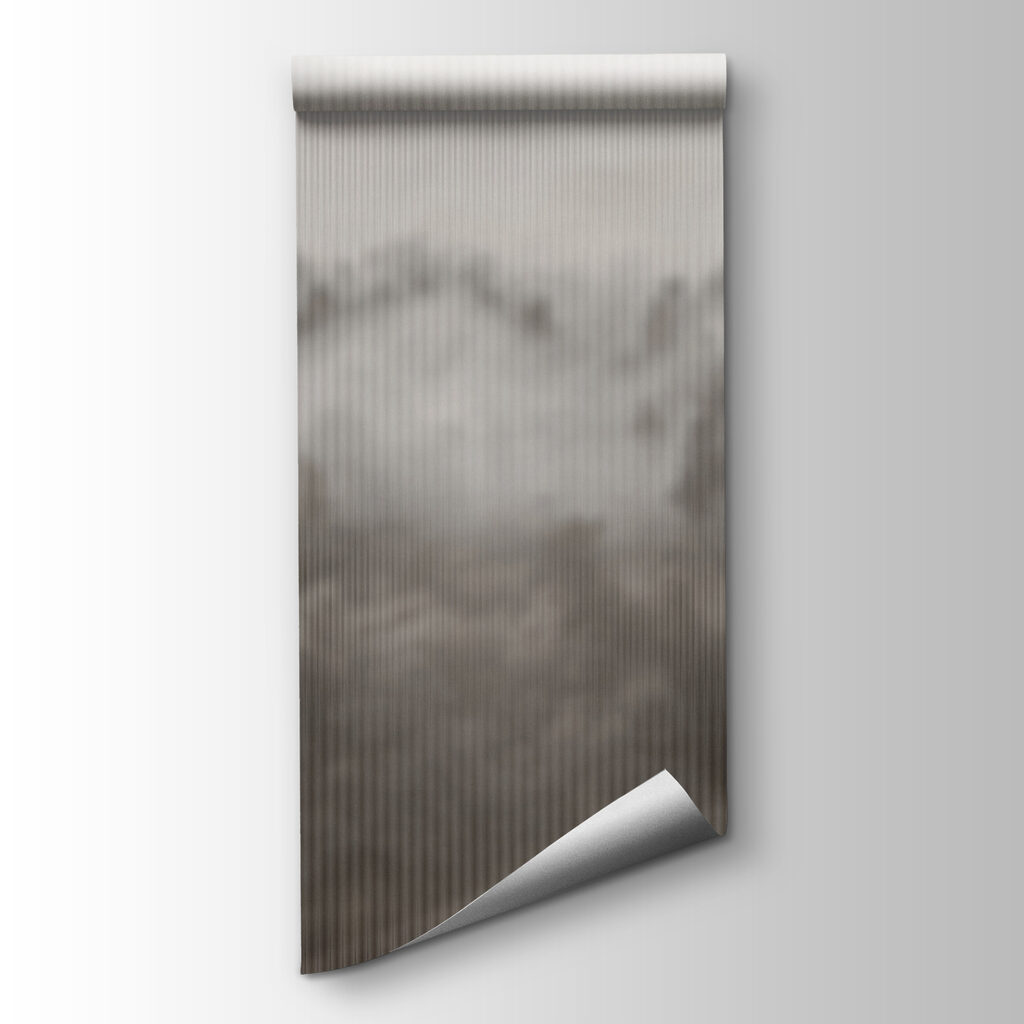 Foggy forest with trees Foggy forest with trees