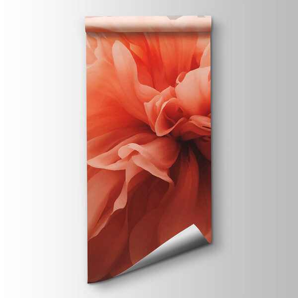 Close up of a flower