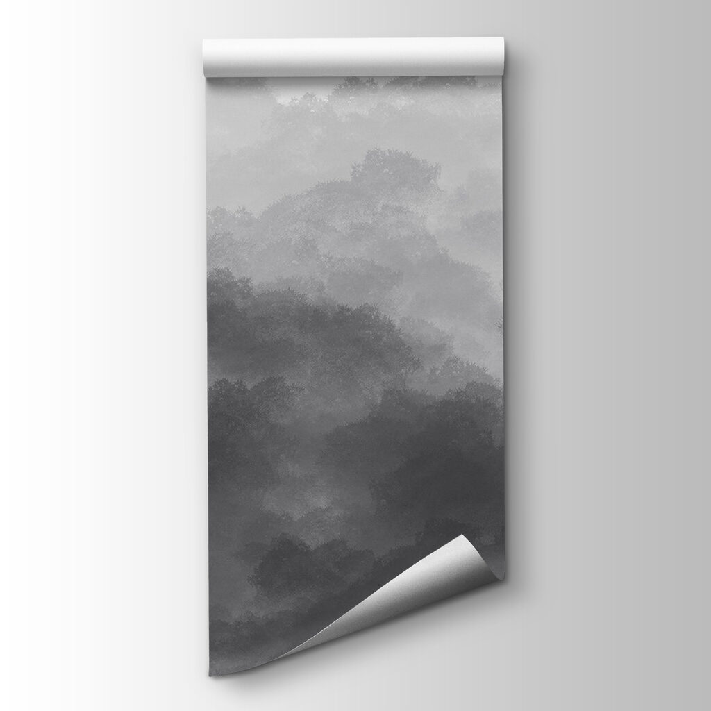 Black and white image of clouds