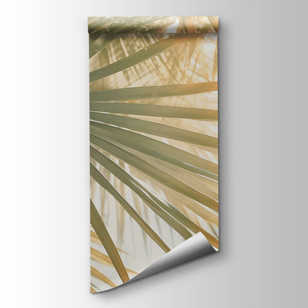 Serene palms under soft sunlight