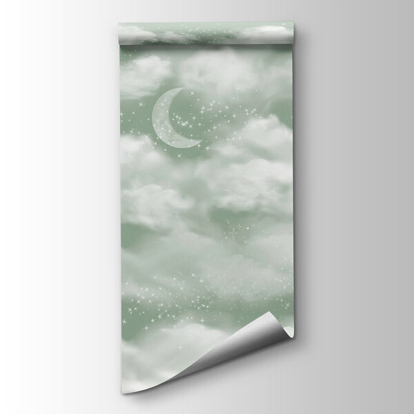 Moon in the sky