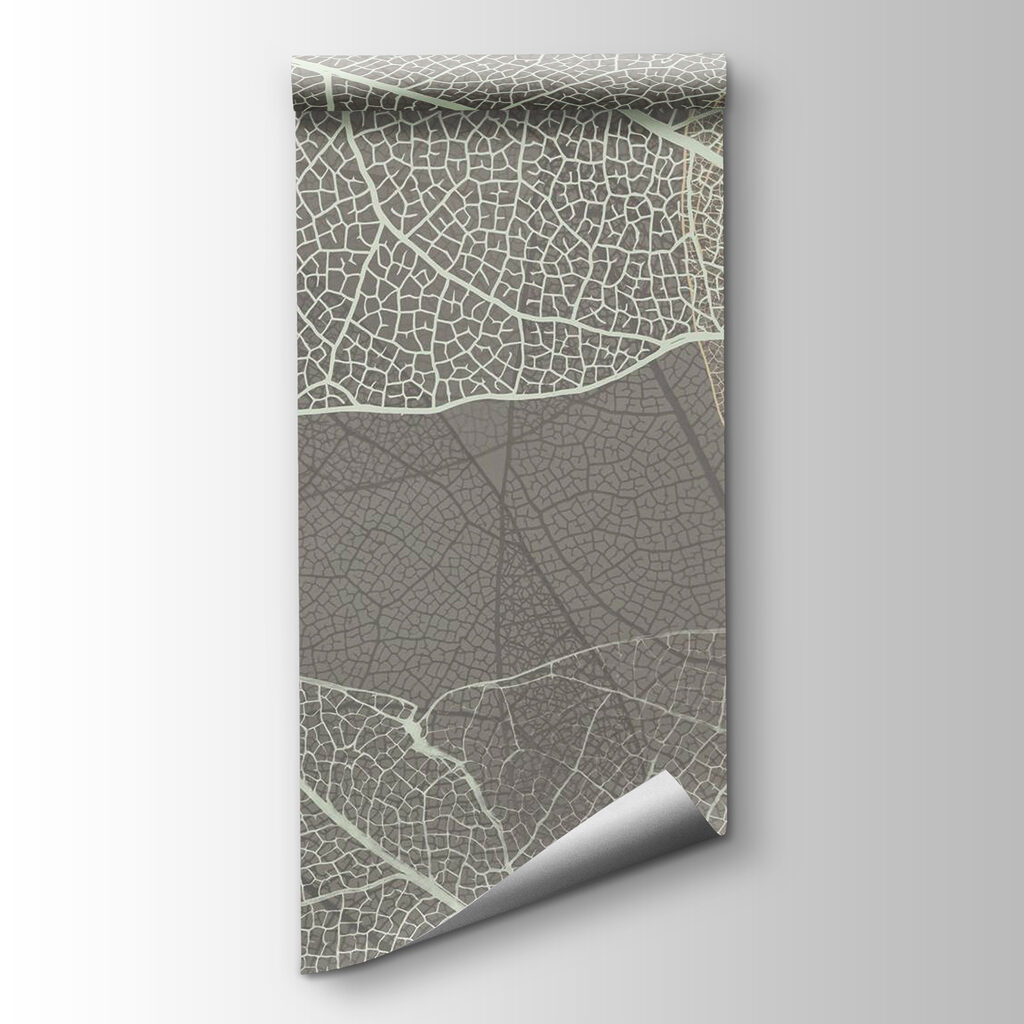 Delicate patterns of leaf veins Delicate patterns of leaf veins