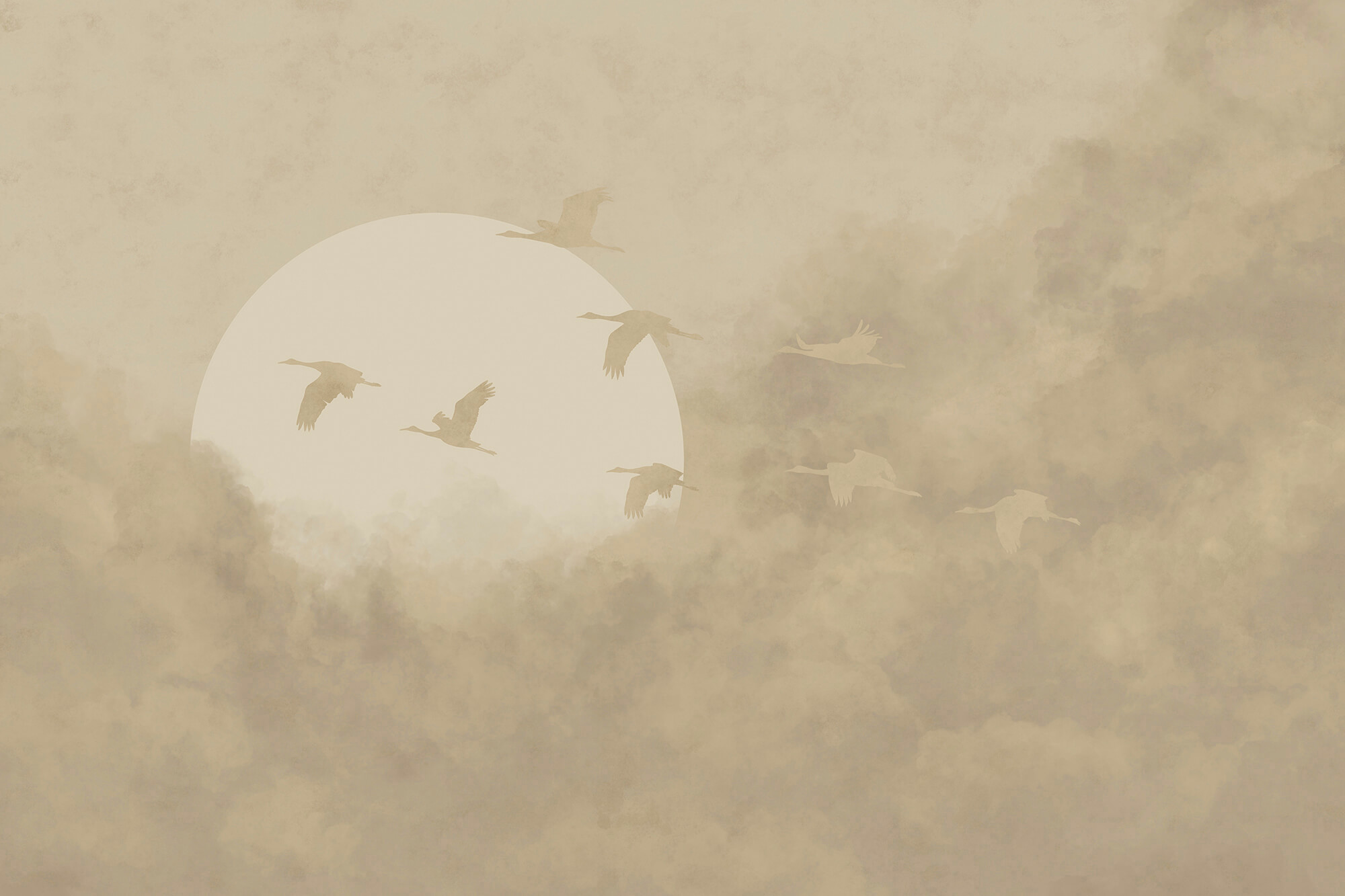 Birds flying in the sky