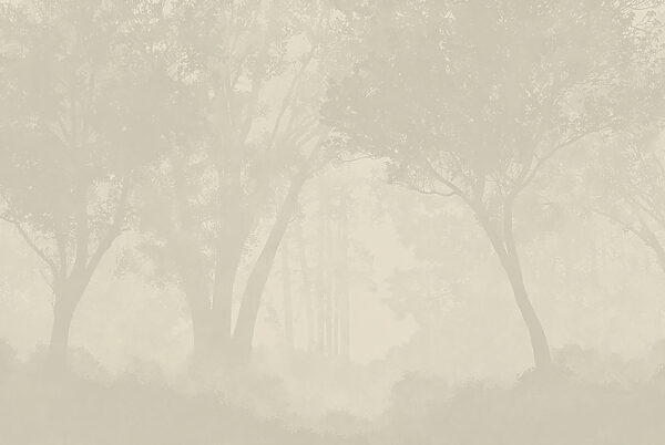 Foggy forest with trees