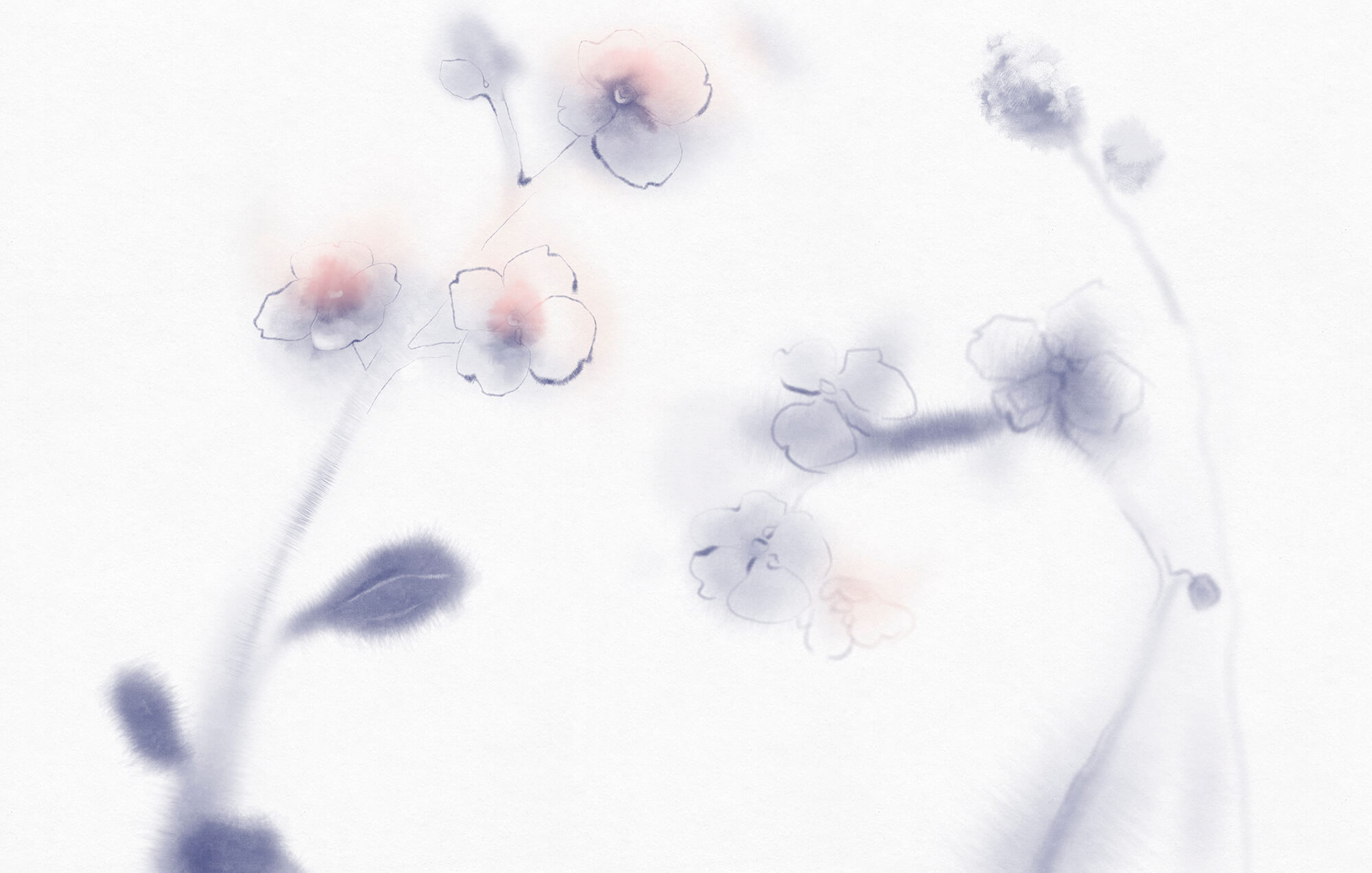 Soft petals in delicate watercolors