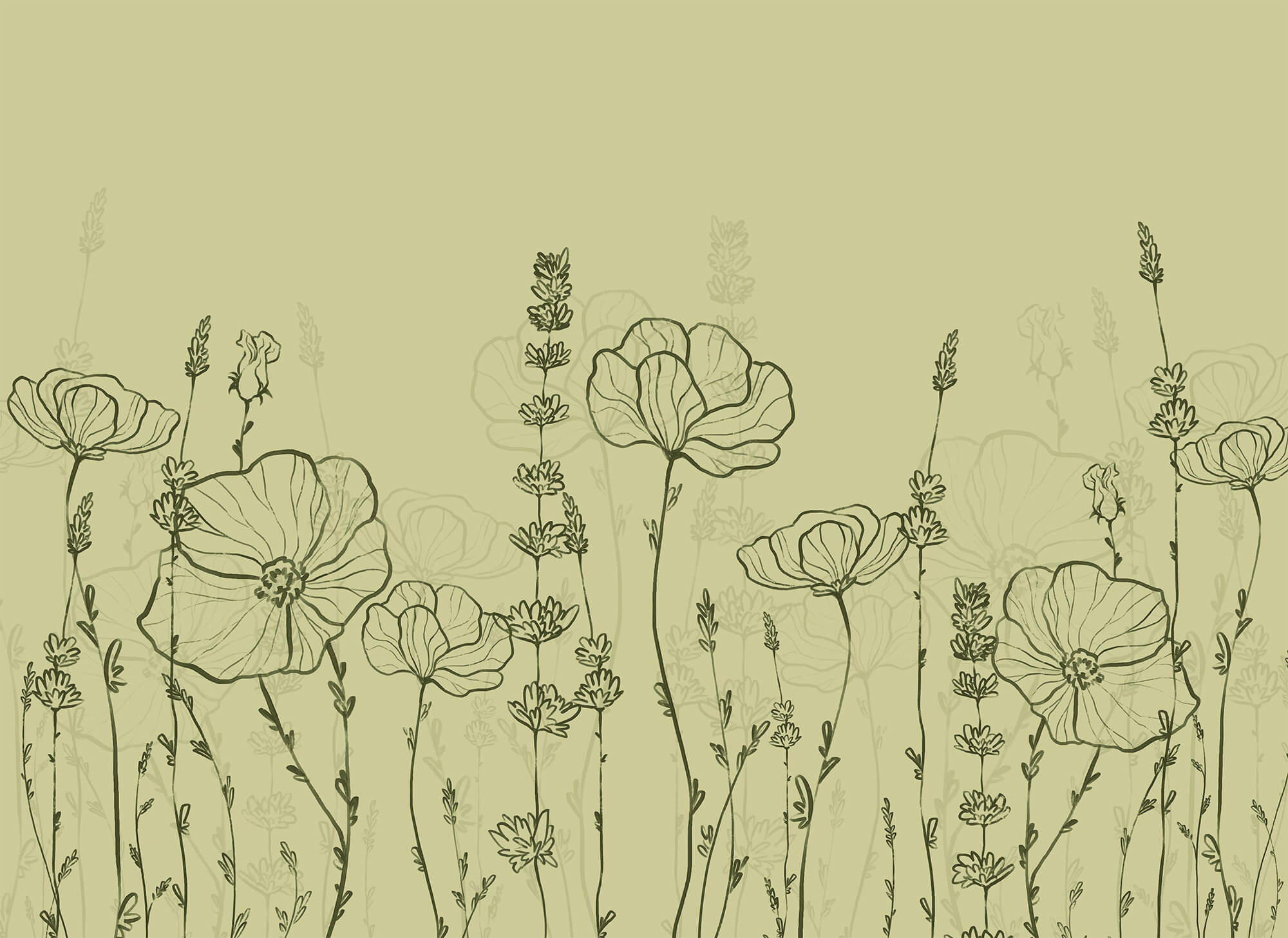 Line drawing of flowers