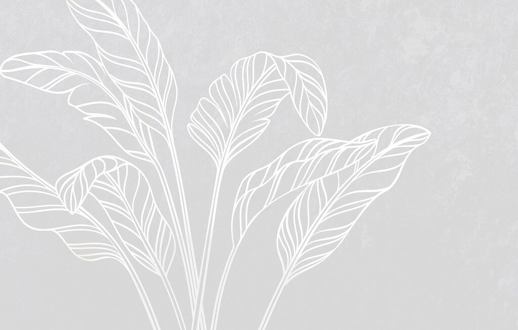 White line drawing of leaves