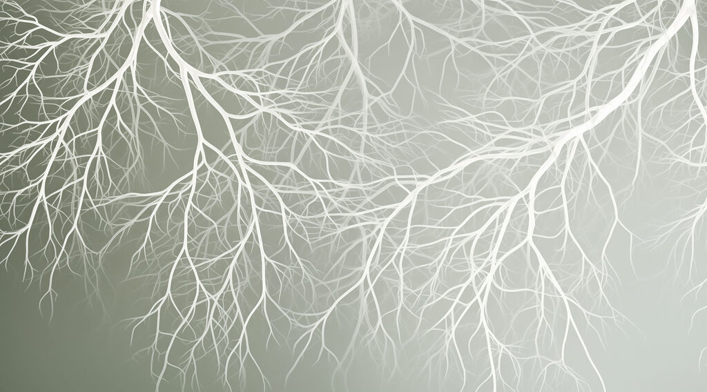 White branches on a gray background White branches on a gray background
