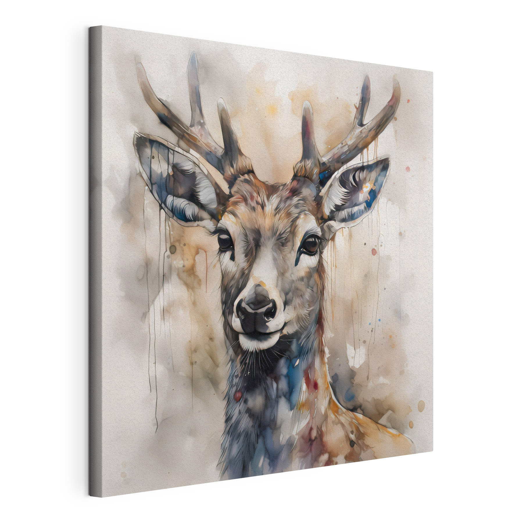A watercolor of a deer