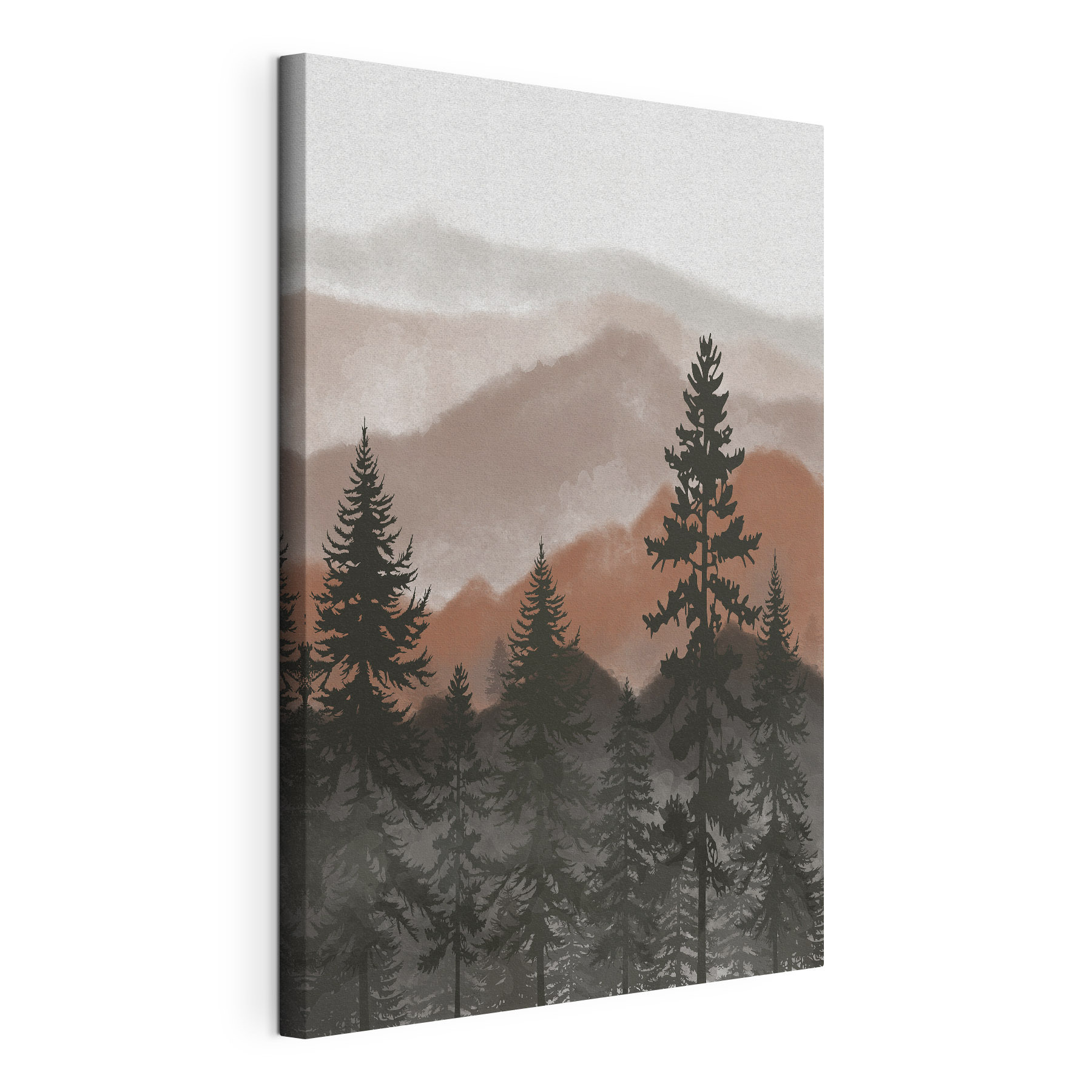 A group of trees in a forest A group of trees in a forest