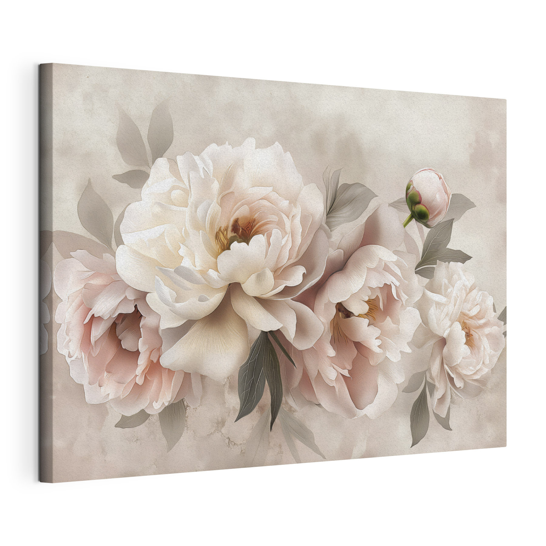 A group of flowers on a white background A group of flowers on a white background