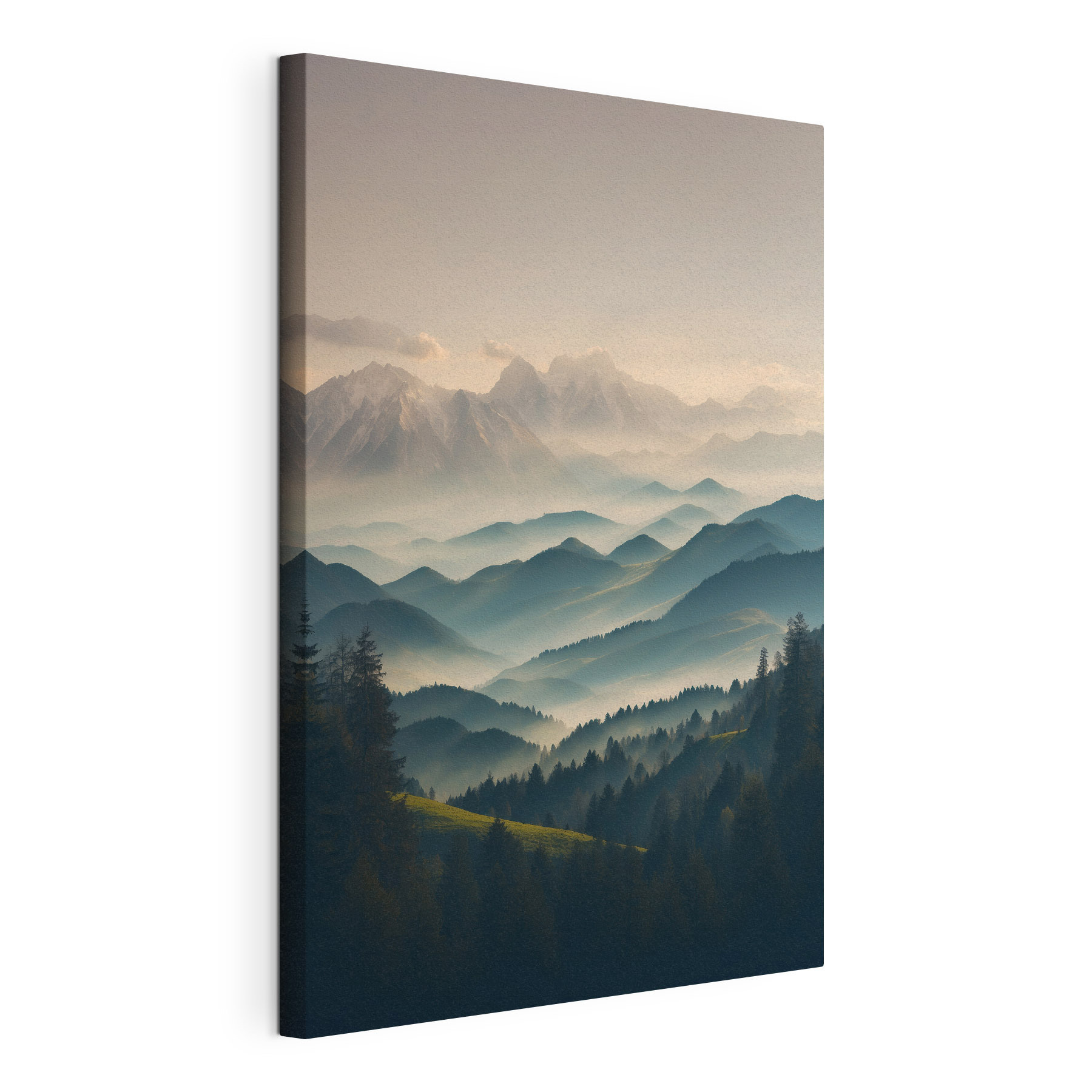 Mountain range with trees and fog
