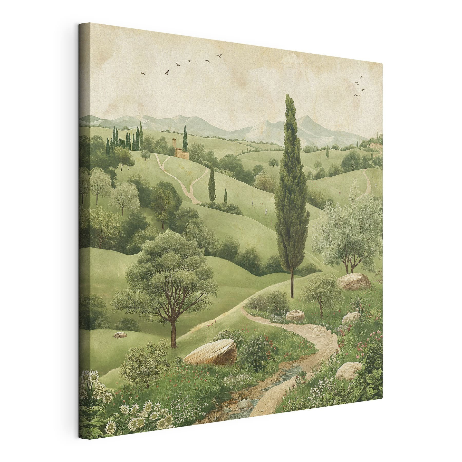 Landscape with trees and a road Landscape with trees and a road