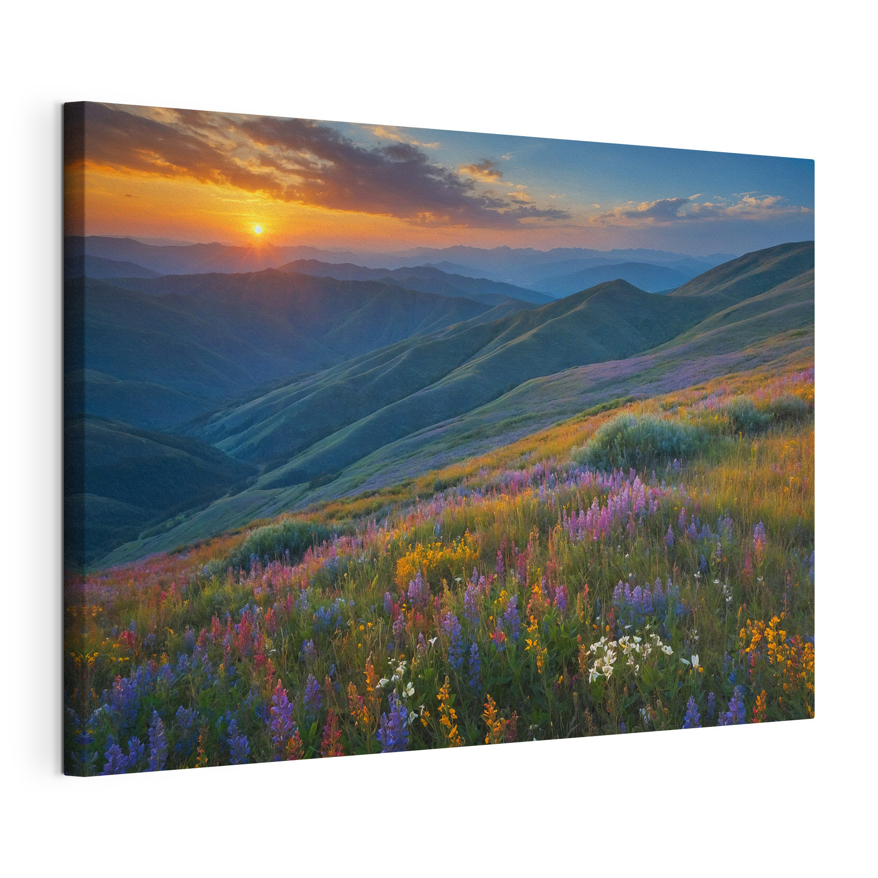 Field of flowers on a mountain