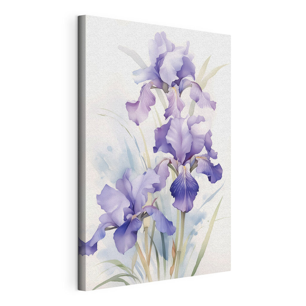 Iris in soft pastel hues Iris in soft pastel hues