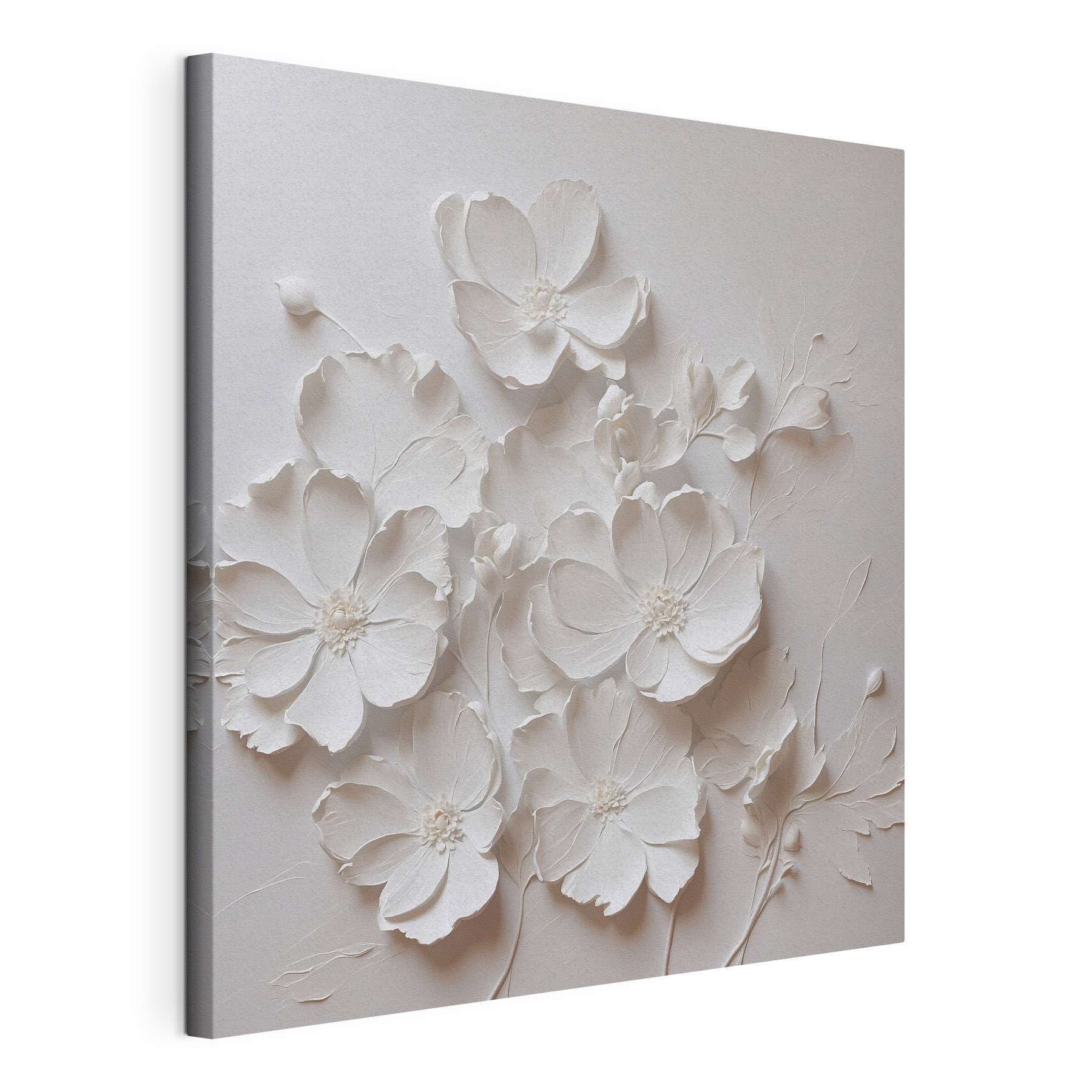 White flower on a white surface White flower on a white surface