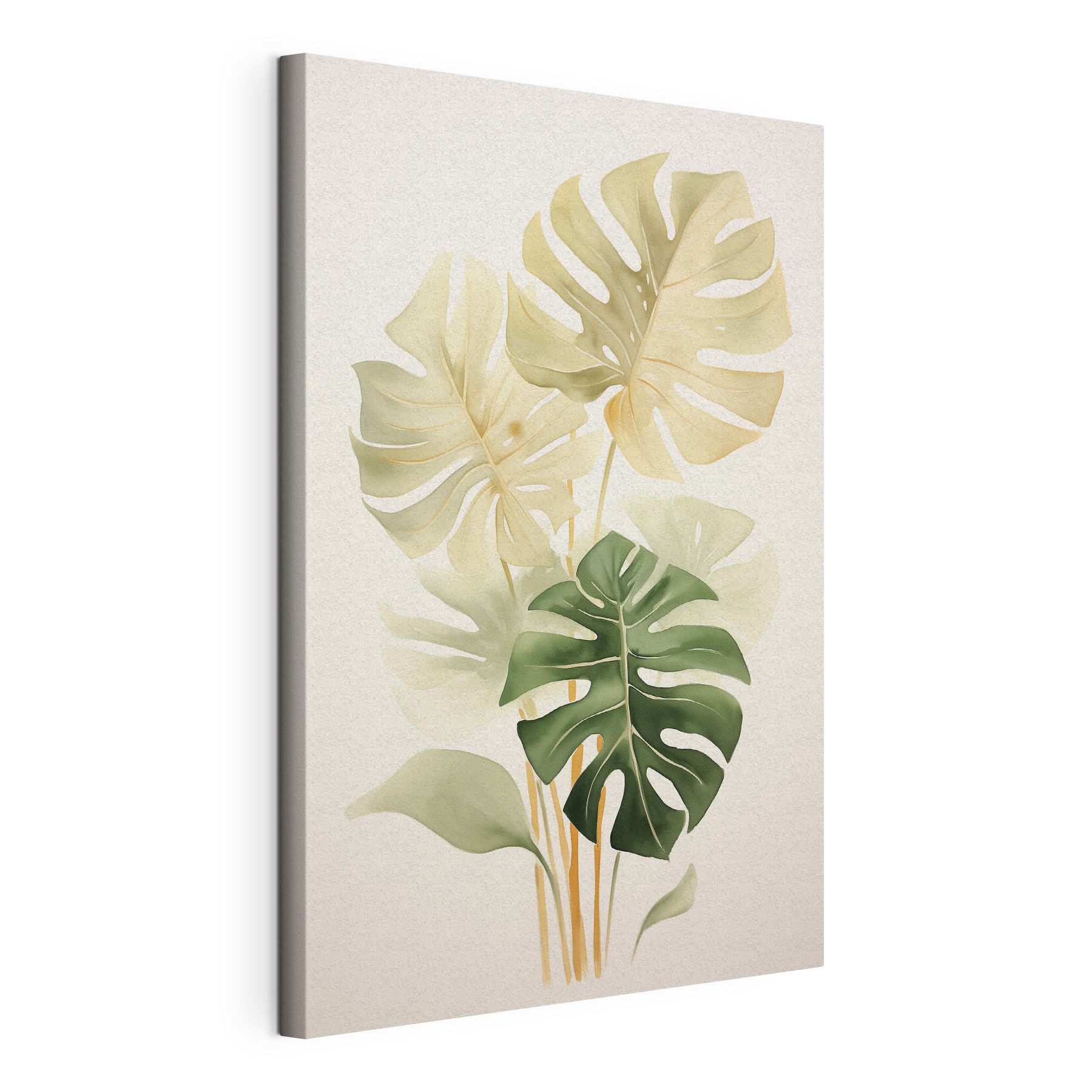 Group of leaves on a white background