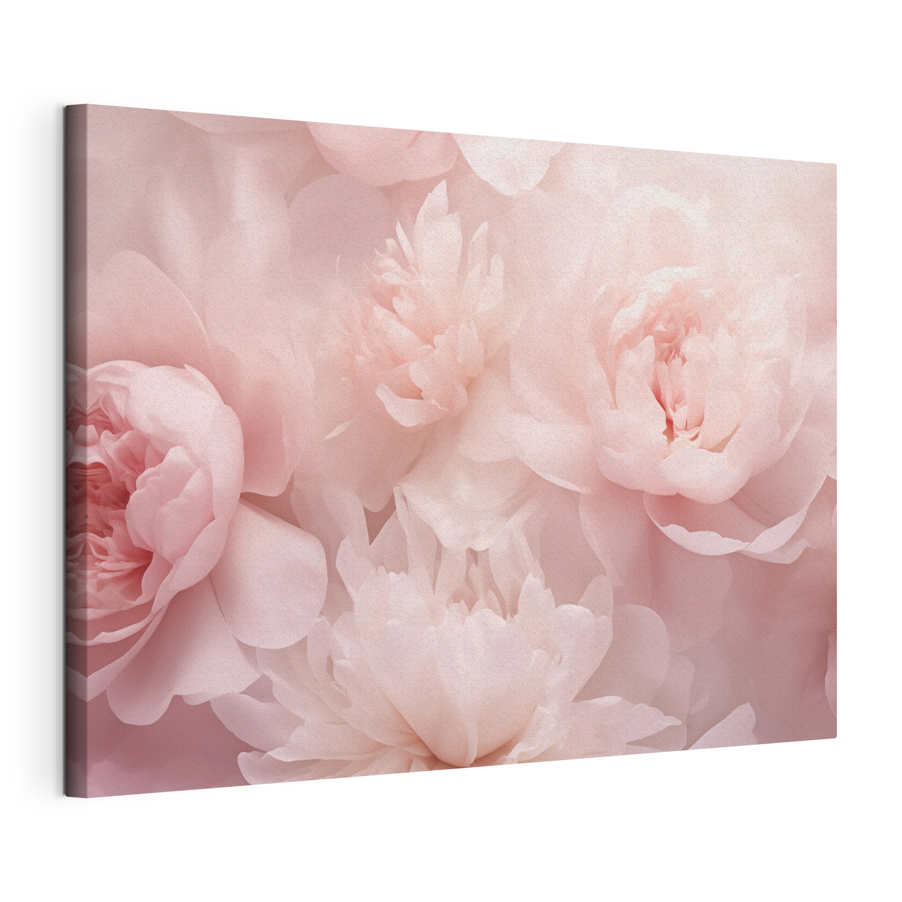 Group of pink flowers
