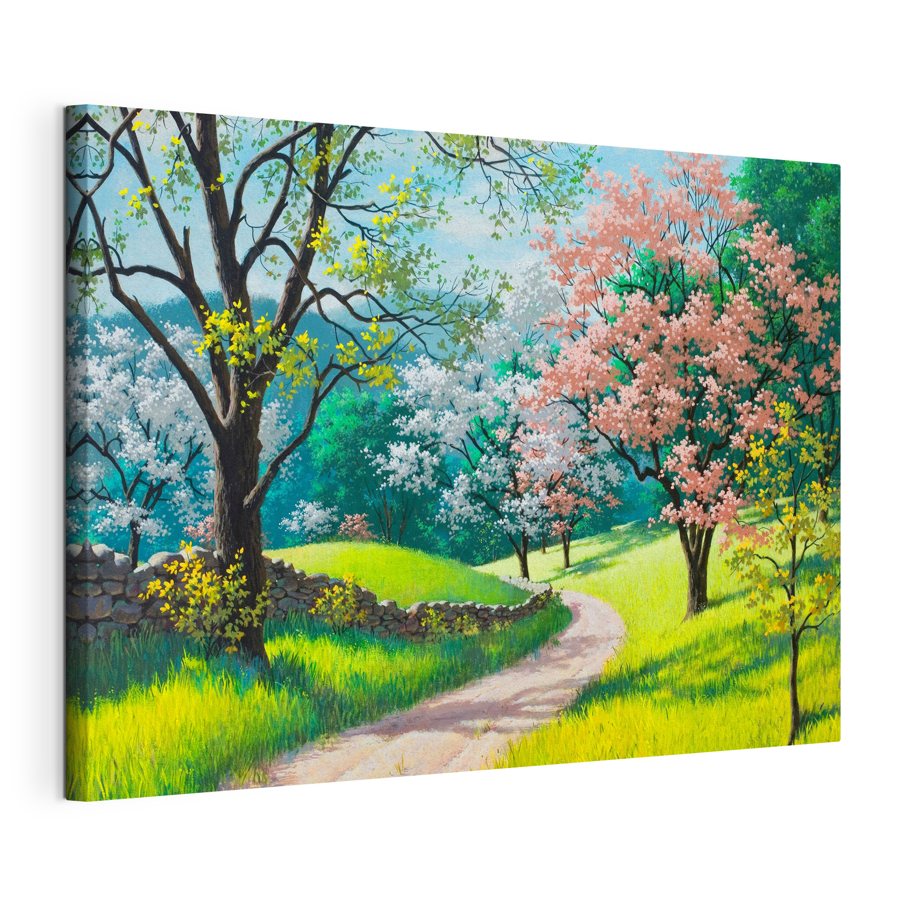 Blossoming trees along a winding path