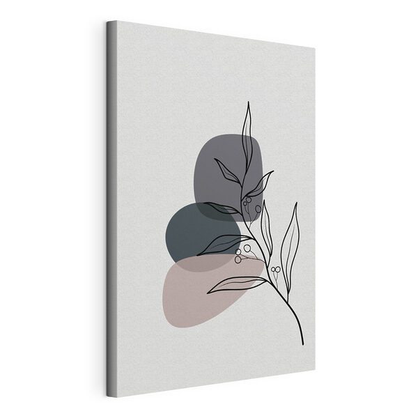 A drawing of a plant