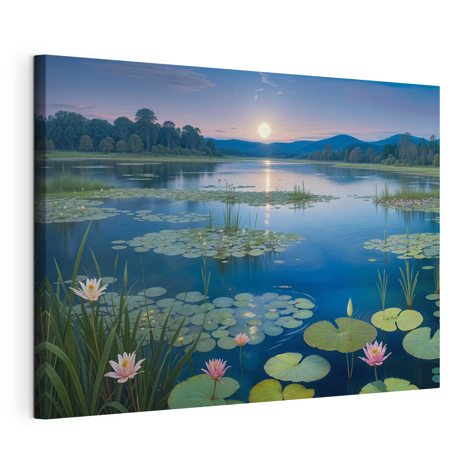 Lake with lily pads and lily pads