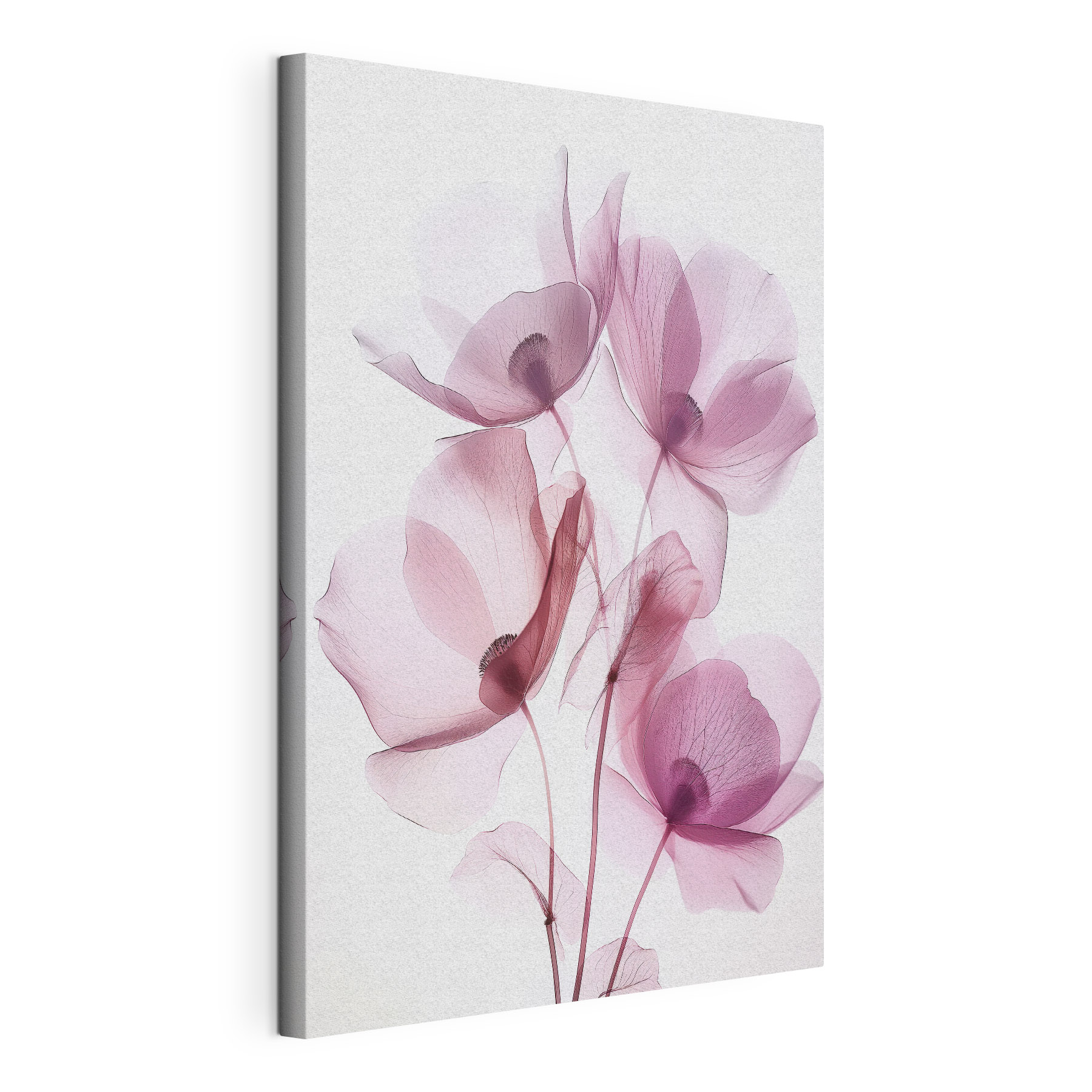 Group of pink flowers