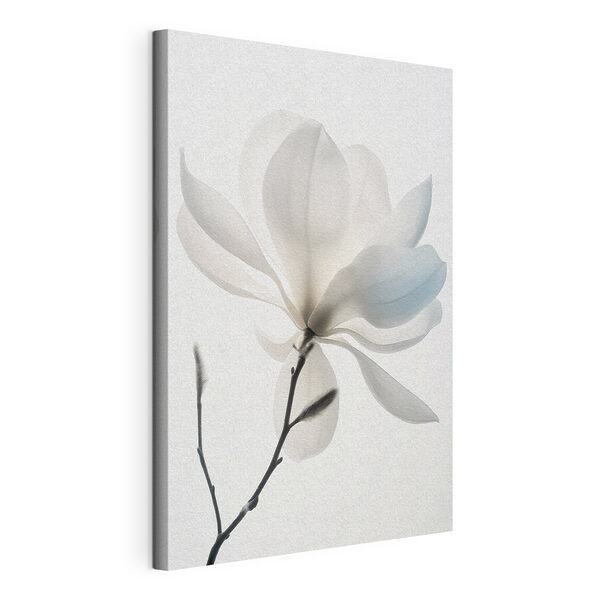 White flower with leaves White flower with leaves