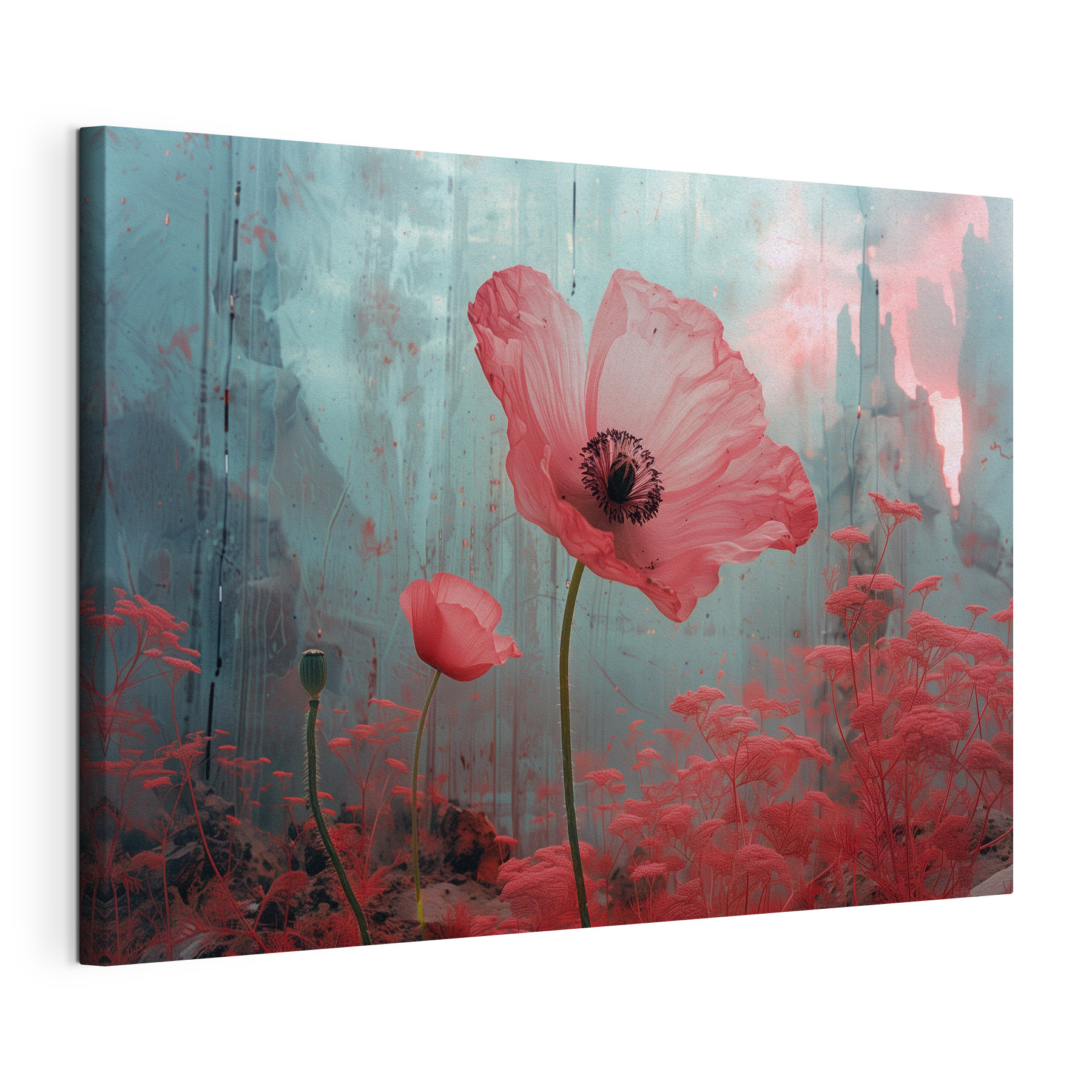 Pink flowers in a field
