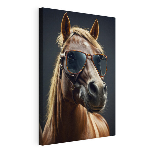 Horse wearing sunglasses