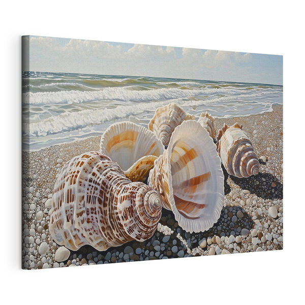 Seashells on a beach
